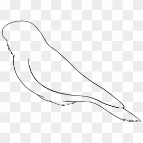 How To Draw Raven - Line Art, HD Png Download - raven feather png