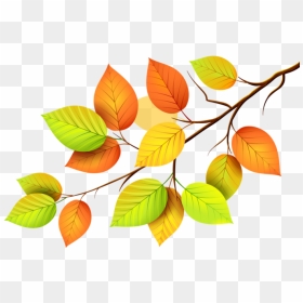 Http - //img0 - Liveinternet - Ru/images/attach/c/ - Png Leaves, Transparent Png - leaf pile png