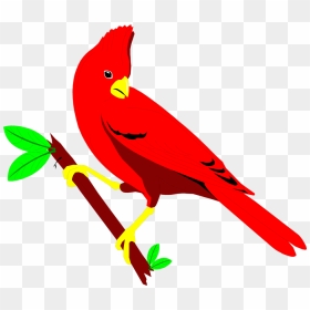 Cardinal Free Stock Photo Illustration Of A Red Cardinal - Transparent Red Bird Gif, HD Png Download - st louis cardinals png