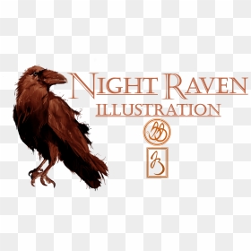 Eagle, HD Png Download - raven feather png