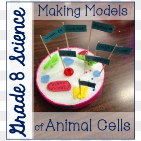 Grade 8 Animal Cell Models - Animal Cells Model Project, HD Png Download - animal cell png