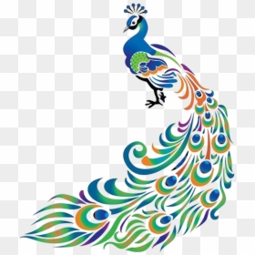 Colorful Drawings Of Peacock , Png Download - Peacock Design, Transparent Png - peacock png image