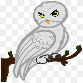 Collection Of Free Hedwig Drawing Realistic Download - Harry Potter, HD Png Download - hedwig png