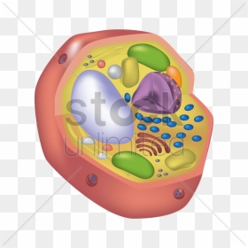 Animal Cell V矢量图形 - Illustration, HD Png Download - animal cell png