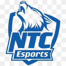 Northcentral Technical College Esports, HD Png Download - overwatch gold medal png