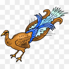 Peacock Clipart Female Peacock - Peafowl, HD Png Download - peacock png image