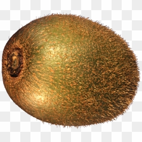 Transparent Background Kiwi Png, Png Download - cola splash png