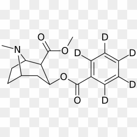 File - D5-phenyl Cocaine - Svg - Cocaine Vs Cocaine Methiodide, HD Png Download - cocain png