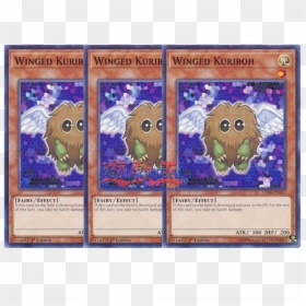 Yugioh Card Winged Kuriboh, HD Png Download - kuriboh png