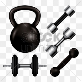 Vector Royalty Free Collection Of Gym Equipment Vector - Dumbbell, HD Png Download - gym dumbbells png