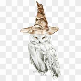 Owl Drawing Illustration Harry Potter Sketch - Harry Potter Owl Drawing, HD Png Download - hedwig png