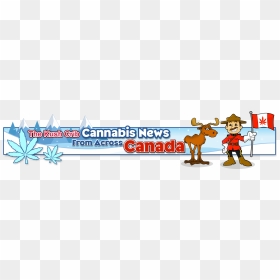 Corner Banner Png, Transparent Png - corner banner png