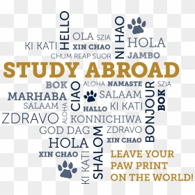 Study Abroad Word Map, HD Png Download - word map png