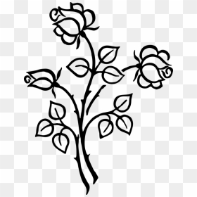 Line Art Flower - Flower Clipart Transparent Black And White, HD Png Download - line art flower design png