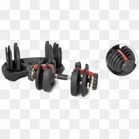 Weights, HD Png Download - gym dumbbells png