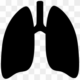 Lungs Png - Lungs Clipart, Transparent Png - sunglass vector png