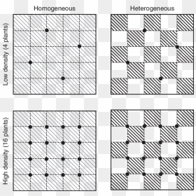 Unshaded, HD Png Download - squares design png