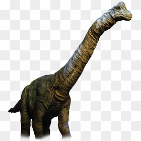 Dinosaur Real Png Clipart , Png Download - Transparent Background ...