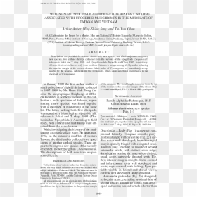 Document, HD Png Download - arthur fist png