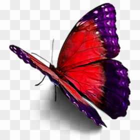 Picsart New Hd Sticar, Png Download - Butterfly Images Hd Png, Transparent Png - picsart png new