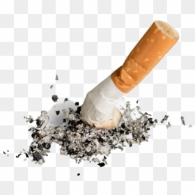 Cigarette Ashes Png - Cigarette Ash Png, Transparent Png - cigarette png image