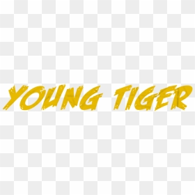 Young Tiger - Poster, HD Png Download - arthur fist png