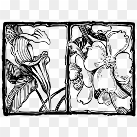 Flowers In Squares - Sketch, HD Png Download - squares design png