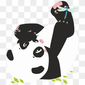 Playful Baby Panda Clipart - Love Panda Miss, HD Png Download - baby graphic png
