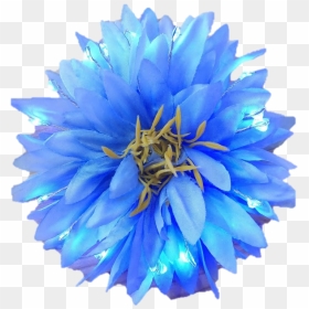 Real Blue Flowers Png, Transparent Png - blue bright light png
