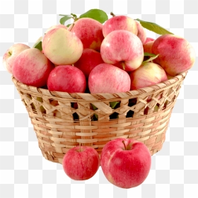 Basket Of Apples Transparent Background, HD Png Download - empty basket png