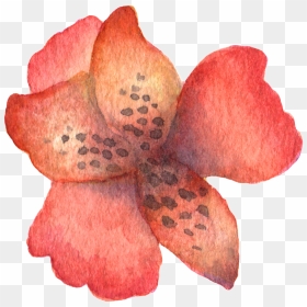 Hand Painted Stick Figure A Red Flower Watercolor Transparent - Watercolor Painting, HD Png Download - flower stick png