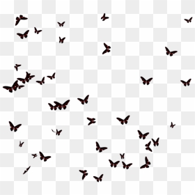 Thumb Image - Butterfly Flock Silhouette Png, Transparent Png - butterflies swarm png