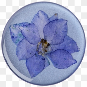 Pressed Flower Larkspur Purple"     Data Rimg="lazy"  - Purple Flowers Pop Socket, HD Png Download - flower top view png