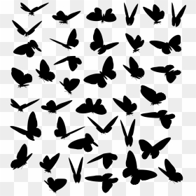 Butterflies, HD Png Download - butterflies swarm png