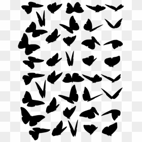 Swarm Of Butterflies Drawing, HD Png Download - butterflies swarm png
