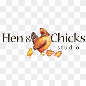 Hen And Chicks Studio , Png Download - Chicken And Chicks Logo, Transparent Png - chicks png