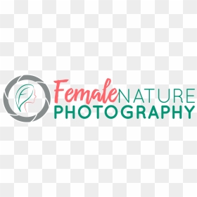Female Nature Photography - Female Photography Logo, HD Png Download - photography png text