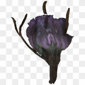 Nukapedia The Vault - Fallout 76 Tato Flower Location, HD Png Download - flower stick png