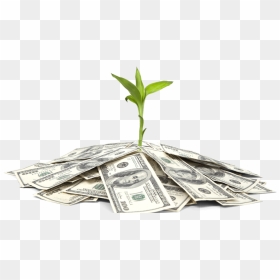 Funding Agencies, HD Png Download - indian money tree png