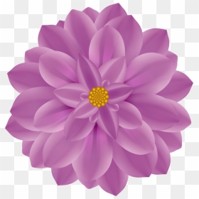 Dahlia Flower Clip Art - Pink And Purple Daisy Drawing, HD Png Download - dahlia flower png