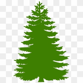 Silhouette Outline Pine Tree, HD Png Download - cemara png