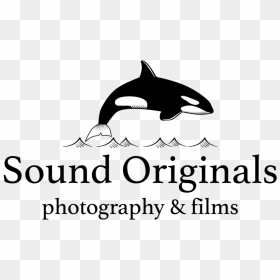 Orca Sologo Text Transparent - Killer Whale, HD Png Download - photography png text