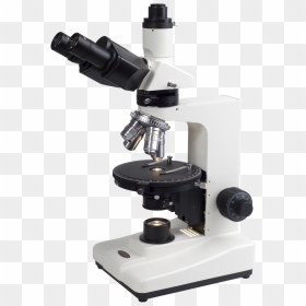 Omano Om339p Transmitted Light Polarizing Microscope - Polarizing Microscope, HD Png Download - microscope png images
