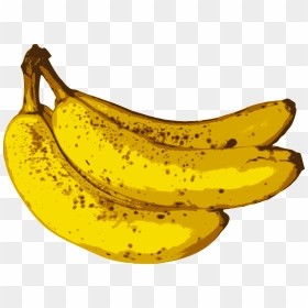 Bunch Of Bananas - Banana Fruit, HD Png Download - vhv