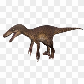 Utahraptor Png 3 » Png Image - Velociraptor The Isle Transparent, Png Download - whatsapp .png