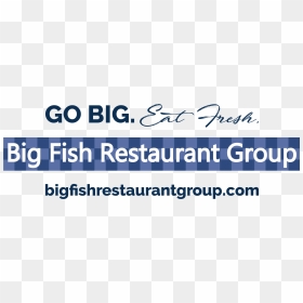 Graphics, HD Png Download - fish group png
