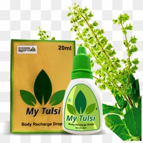 My Recharge Ayurveda Product, HD Png Download - tulsi tree png