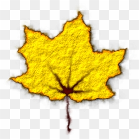 Transparent Fallen Leaves Png - Maple Leaf, Png Download - yellow leaf png