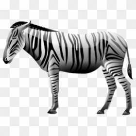 Zebra Png Transparent Images - Zebra Icon Transparent, Png Download - zebra png images