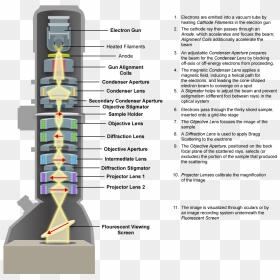 Transmission Electron Microscope - Cable, HD Png Download - microscope png images